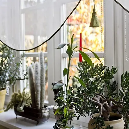 Zacisze Gæstehus Plewiska