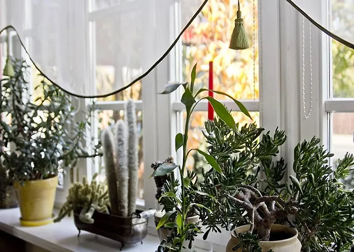 Zacisze Pensjonat Plewiska